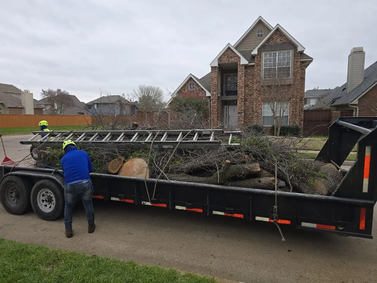 Expert Lot Clearing with proper safety equipment in Grissom Arb